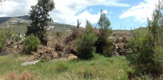 Κοινή ανακοίνωση 5 συλλόγων ενάντια στον ΣΜΑ Μελισσίων