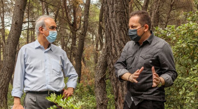 Αυτοψία στα Δάση Καστρίτσας και «Φασίδερι»