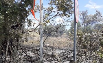 Έκκληση από το Δήμο Κηφισιάς για καθαρισμό οικοπέδων