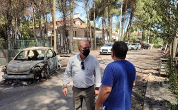 Αυτοψία του Δημάρχου Διονύσου Γιάννη Καλαφατέλη στις περιοχές που επλήγησαν από τη φωτιά
