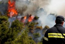 Παρατείνεται έως τις 30/7 η Κατάσταση Ειδικής Κινητοποίησης του Δήμου Διονύσου λόγω Δασικών Πυρκαγιών