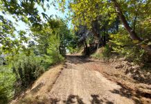 Ο ΣΠΑΠ συνεχίζει με αμείωτους και εντατικούς ρυθμούς τις εργασίες συντήρησης και αποκατάστασης δασικών δρόμων στο Πεντελικό και σε περιοχές των Δήμων Μελών.