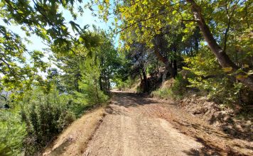 Ο ΣΠΑΠ συνεχίζει με αμείωτους και εντατικούς ρυθμούς τις εργασίες συντήρησης και αποκατάστασης δασικών δρόμων στο Πεντελικό και σε περιοχές των Δήμων Μελών.