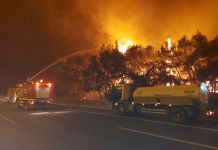 Ο ΣΠΑΠ έδωσε ολονύχτια μάχη στα μέτωπα της πυρκαγιάς σε Δροσοπηγή, Κρυονέρι και Αφίδνες