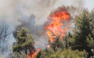 Οδηγός προστασίας των πολιτών από τις πυρκαγιές