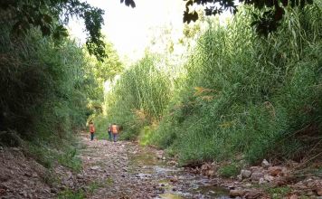 Με εντατικούς ρυθμούς συνεχίζονται σε καθημερινή βάση οι καθαρισμοί των ρεμάτων από τα συνεργεία της Περιφέρεια Αττικής