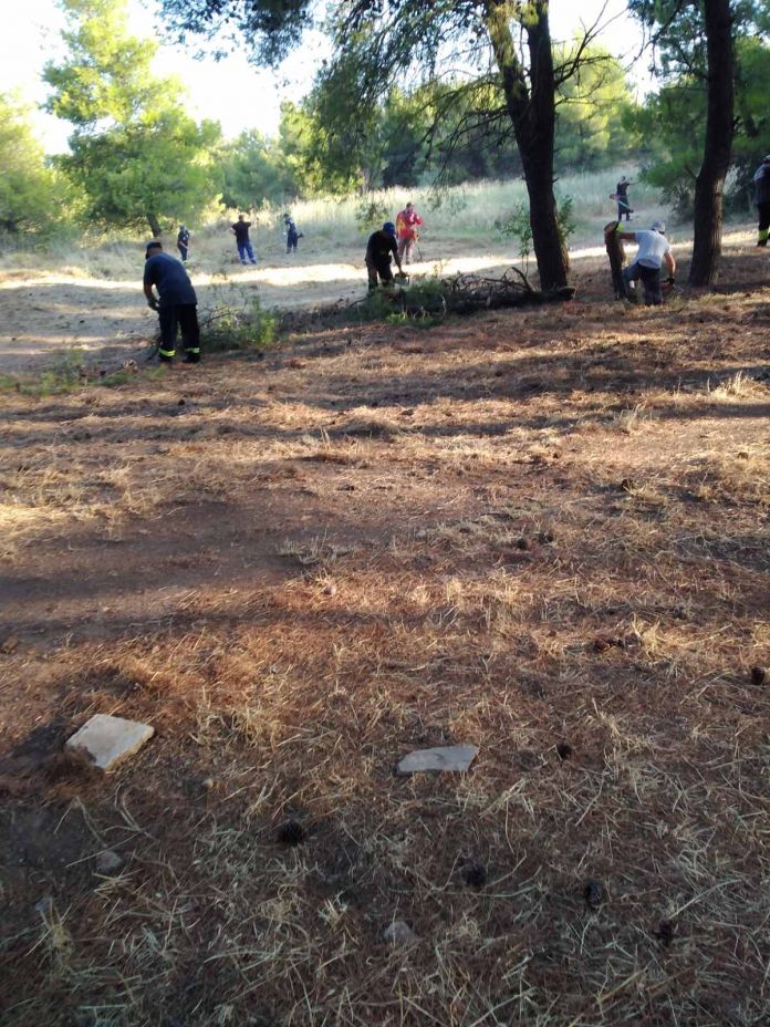 ΚΑΘΑΡΙΣΜΟΣ ΡΟΔΟΥ & ΟΡΦΕΩΣ (ΔΑΣΟΣ).jpg2