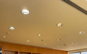 H ΔΕΗ ανάδοχος αποκατάστασης και αναδάσωσης στην Εύβοια