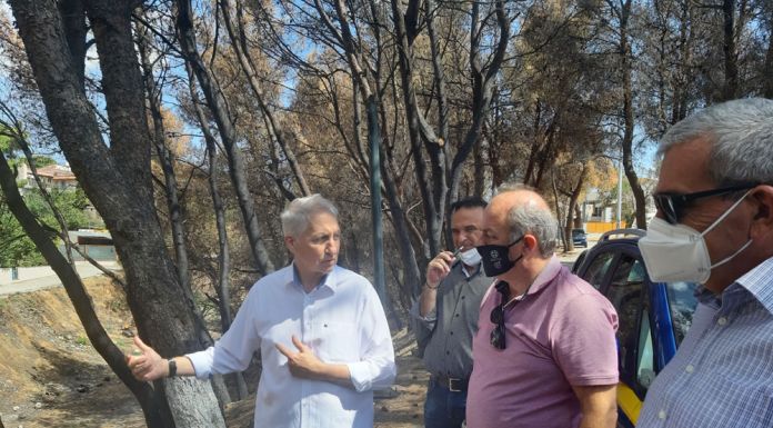 Καθαρισμοί Ρεμάτων στο Δήμο Διονύσου