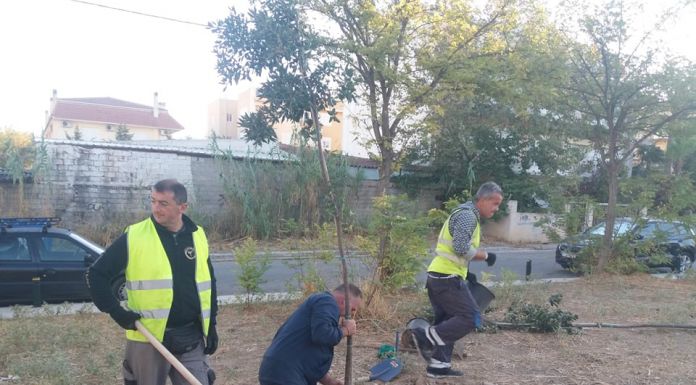 Εργασίες καθαριότητας, φυτεύσεων, συντήρησης πρασίνου και τεχνικές επισκευές στο Μαρούσι
