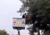 Συνεργεία του ΔΕΔΔΗΕ κλαδεύουν δένδρα που ακουμπούν σε καλώδια ηλεκτροδότησης
