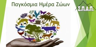 Το δικό του μήνυμα έδωσε ο Πρόεδρος του ΣΠΑΠ Βλάσσης Σιώμος για την Παγκόσμια Ημέρα των Ζώων
