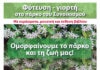 Φύτευση – γιορτή στο γήπεδο του Συνοικισμού, το πρωί του Σαββάτου 27 Νοεμβρίου