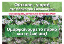 Φύτευση – γιορτή στο γήπεδο του Συνοικισμού, το πρωί του Σαββάτου 27 Νοεμβρίου