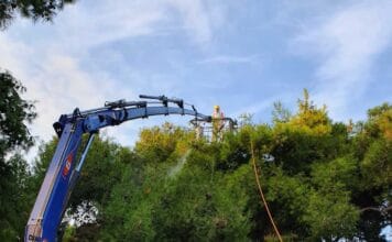 Ολοκληρώθηκε ο ψεκασμός για τον έλεγχο του πληθυσμού της κάμπιας του πεύκου
