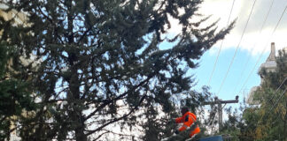 Δήμος Αμαρουσίου: Ουδέποτε υπάλληλος του Δήμου απάντησε σε πολίτη ότι ο Δήμος βρίσκεται σε «αργία» εν μέσω κακοκαιρίας