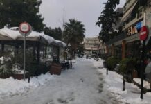 ΓΙΑΝΝΗΣ ΘΕΟΔΩΡΑΚΟΠΟΥΛΟΣ: ΟΙ ΠΟΛΙΤΕΣ ΕΙΝΑΙ «ΕΛΕΥΘΕΡΟΙ ΠΟΛΙΟΡΚΗΜΕΝΟΙ» ΚΑΙ Η ΔΙΟΙΚΗΣΗ ΤΟΥ ΔΗΜΟΥ ΔΕΝ ΓΝΩΡΙΖΕΙ ΟΥΤΕ ΠΟΥ.. ΠΑΤΑΕΙ ΟΥΤΕ ΠΟΥ …ΠΑΕΙ.