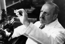 Δωρεάν Τεστ Παπανικολάου για γυναίκες άνω των 25 ετών στο Δήμο Λυκόβρυσης-Πεύκης