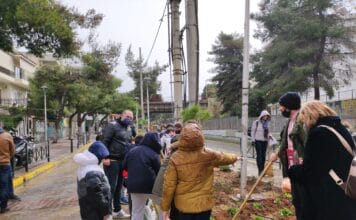 Ο Δήμος Ηρακλείου Αττικής και παιδιά από το 1ο Δημοτικό φύτευσαν τη νησίδα της οδού Μελίνας Μερκούρη