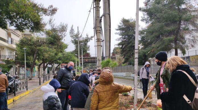 Ο Δήμος Ηρακλείου Αττικής και παιδιά από το 1ο Δημοτικό φύτευσαν τη νησίδα της οδού Μελίνας Μερκούρη