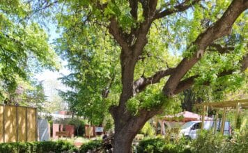 Ανοίγει τις πύλες της η 68η Ανθοκομική Έκθεση Κηφισιάς – 11 Κήποι ευεξίας περιμένουν τους επισκέπτες