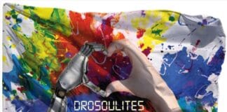 Γυμνάσιο Δροσιάς: Επιπτώσεις δασικής πυρκαγιάς στο μικροκλίμα και προτάσεις αντιμετώπισης