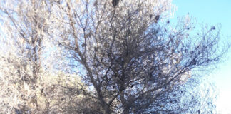 Μπροστά στον κίνδυνο εκδήλωσης πυρκαγιάς, δεν επιτρέπεται καμία ανευθυνότητα