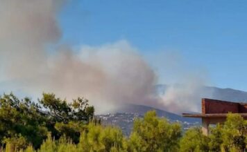 Εφιαλτική νύχτα για την Πεντέλη- Ενεργές εστίες σε Γέρακα, Παλήνη, Ανθούσα και Διώνη