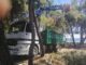 Ο ΣΠΑΠ ολοκλήρωσε τις Προληπτικές Αντιπυρικές Εργασίες Κλαδεύσεων, Αραιώσεων και Απομάκρυνσης Φυσικής βλάστησης και κλαδιών στο Άλσος του Πεζοδρόμου της Νέας Μάκρης