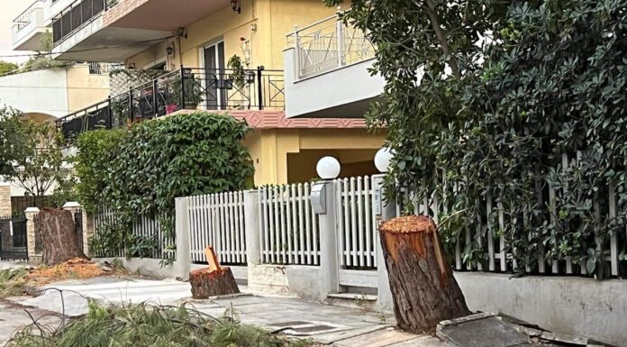 “Συμμαχια πολιτων” “ΥΠΟΛΟΓΗ Η ΔΙΟΙΚΗΣΗ ΤΟΥ ΔΗΜΟΥ ΜΑΣ ΓΙΑ ΤΗΝ ΜΗ ΝΟΜΙΜΗ ΚΟΠΗ ΤΡΙΩΝ ΜΕΓΑΛΩΝ ΠΕΥΚΩΝ”