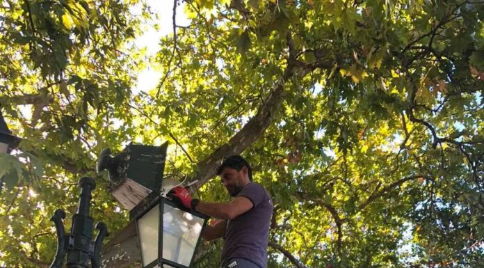 LED ΣΤΟ ΠΑΡΑΔΟΣΙΑΚΟ ΚΕΝΤΡΟ ΤΗΣ ΚΗΦΙΣΙΑΣ