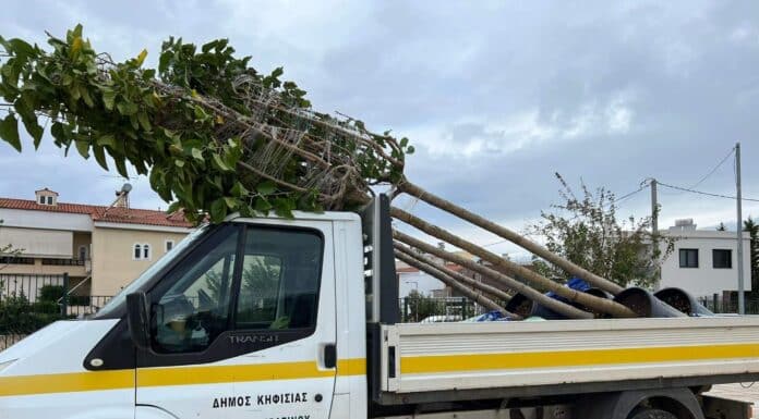ΣΥΝΕΧΙΖΟΝΤΑΙ ΟΙ ΦΥΤΕΥΣΕΙΣ ΣΤΟΝ ΔΗΜΟ ΚΗΦΙΣΙΑΣ
