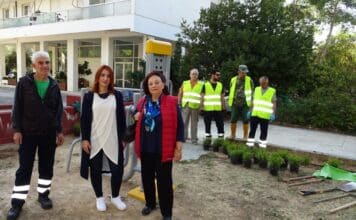 Φυτεύσεις και συντήρηση πρασίνου στην περιοχή των Εργατικών Κατοικιών του Δήμου Αμαρουσίου