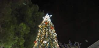 “Άναψε το Χριστουγεννιάτικο Δέντρο στην Πεύκη και ανάβει στη Λυκόβρυση την Κυριακή 4/12”