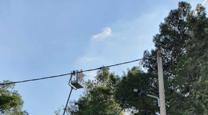 Ψεκασμός για τον έλεγχο του πληθυσμού της κάμπιας του πεύκου θα πραγματοποιηθεί 12-13/11 Ψεκασμός για τον έλεγχο του πληθυσμού της κάμπιας του πεύκου θα πραγματοποιηθεί 12-13/11