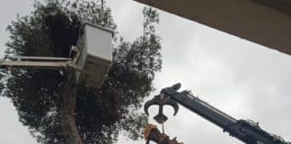 ΔΗΜΟΣ ΚΗΦΙΣΙΑΣ: ΠΡΟΓΡΑΜΜΑ ΚΛΑΔΕΜΑΤΟΣ ΣΕ ΚΟΙΝΟΧΡΗΣΤΟΥΣ ΧΩΡΟΥΣ