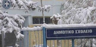 Δήμος Διονύσου: Τη Δευτέρα 13/2 θα λειτουργήσουν κανονικά όλα τα Σχολεία και οι Βρεφονηπιακοί Σταθμοί