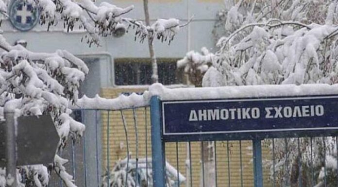 Δήμος Διονύσου: Τη Δευτέρα 13/2 θα λειτουργήσουν κανονικά όλα τα Σχολεία και οι Βρεφονηπιακοί Σταθμοί