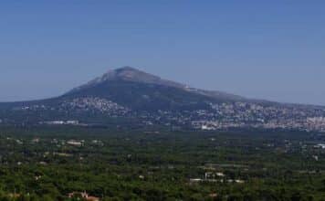 Ο ΣΠΑΠ σε συνεργασία με το “Όλοι Μαζί Μπορούμε και στο Περιβάλλον” διοργανώνει την 5η Δράση Εθελοντικής Αναδάσωσης για το 2023.