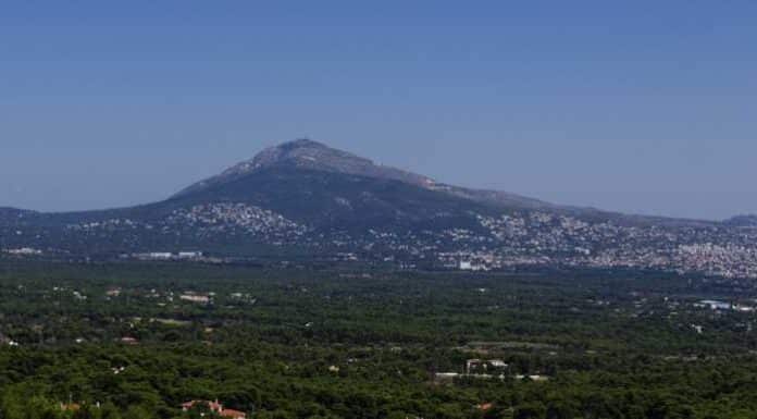 Ο ΣΠΑΠ σε συνεργασία με το “Όλοι Μαζί Μπορούμε και στο Περιβάλλον” διοργανώνει την 5η Δράση Εθελοντικής Αναδάσωσης για το 2023.