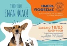 ΚΗΦΙΣΙΑ : ΗΜΕΡΑ ΥΙΟΘΕΣΙΑΣ