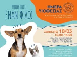 ΚΗΦΙΣΙΑ : ΗΜΕΡΑ ΥΙΟΘΕΣΙΑΣ