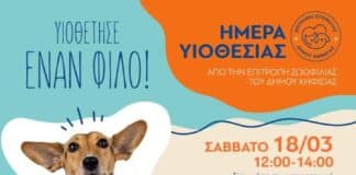 ΚΗΦΙΣΙΑ : ΗΜΕΡΑ ΥΙΟΘΕΣΙΑΣ