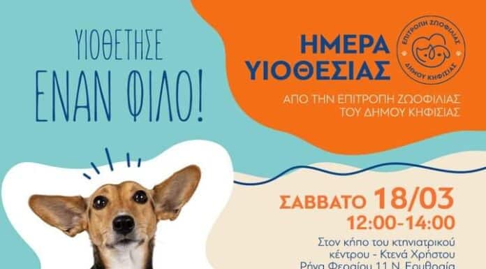 ΚΗΦΙΣΙΑ : ΗΜΕΡΑ ΥΙΟΘΕΣΙΑΣ