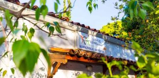 ΣΥΛΛΟΓΗ ΤΡΟΦΙΜΩΝ & ΠΑΣΧΑΛΙΝΩΝ ΕΔΕΣΜΑΤΩΝ ΓΙΑ ΤΑ ΚΟΙΝΩΝΙΚΑ ΠΑΝΤΟΠΩΛΕΙΑ ΤΟΥ ΔΗΜΟΥ ΚΗΦΙΣΙΑΣ