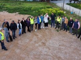 Δενδρεοφυτευση από την GREEN TEAM