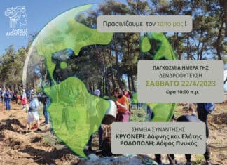 Πρασινίζουμε το Δήμο Διονύσου: Δενδροφύτευση σε Ροδόπολη και Κρυονέρι το Σάββατο 22/4