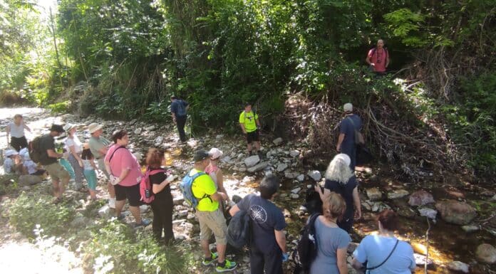 Καθαρίζουμε τη Ρεματιά – Γιορτάζουμε την Παγκόσμια Ημέρα Περιβάλλοντος