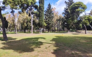 Ο Δήμος Ηρακλείου Αττικής ανανεώνει τα δέντρα του Κτήματος Φιξ με σεβασμό στο περιβάλλον και τους δημότες