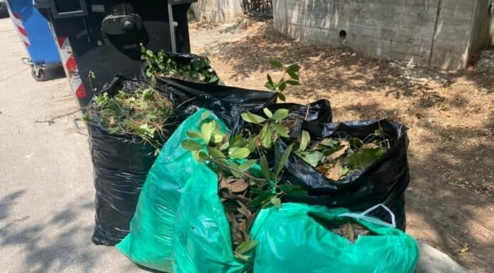 ΠΡΟΣΩΡΙΝΗ ΑΠΑΓΟΡΕΥΣΗ ΕΝΑΠΟΘΕΣΗΣ ΚΗΠΑΙΩΝ ΣΤΟ ΔΗΜΟ ΚΗΦΙΣΙΑΣ ΠΡΟΣΩΡΙΝΗ ΑΠΑΓΟΡΕΥΣΗ ΕΝΑΠΟΘΕΣΗΣ ΚΗΠΑΙΩΝ ΣΤΟ ΔΗΜΟ ΚΗΦΙΣΙΑΣ